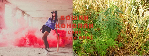 экстази Белокуриха