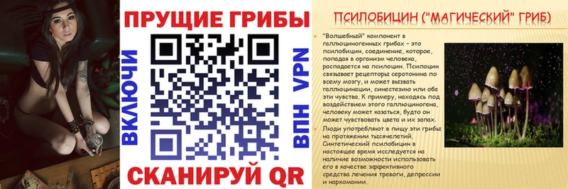 Псилоцибиновые грибы Psilocybe  kraken tor  Юрьев-Польский 